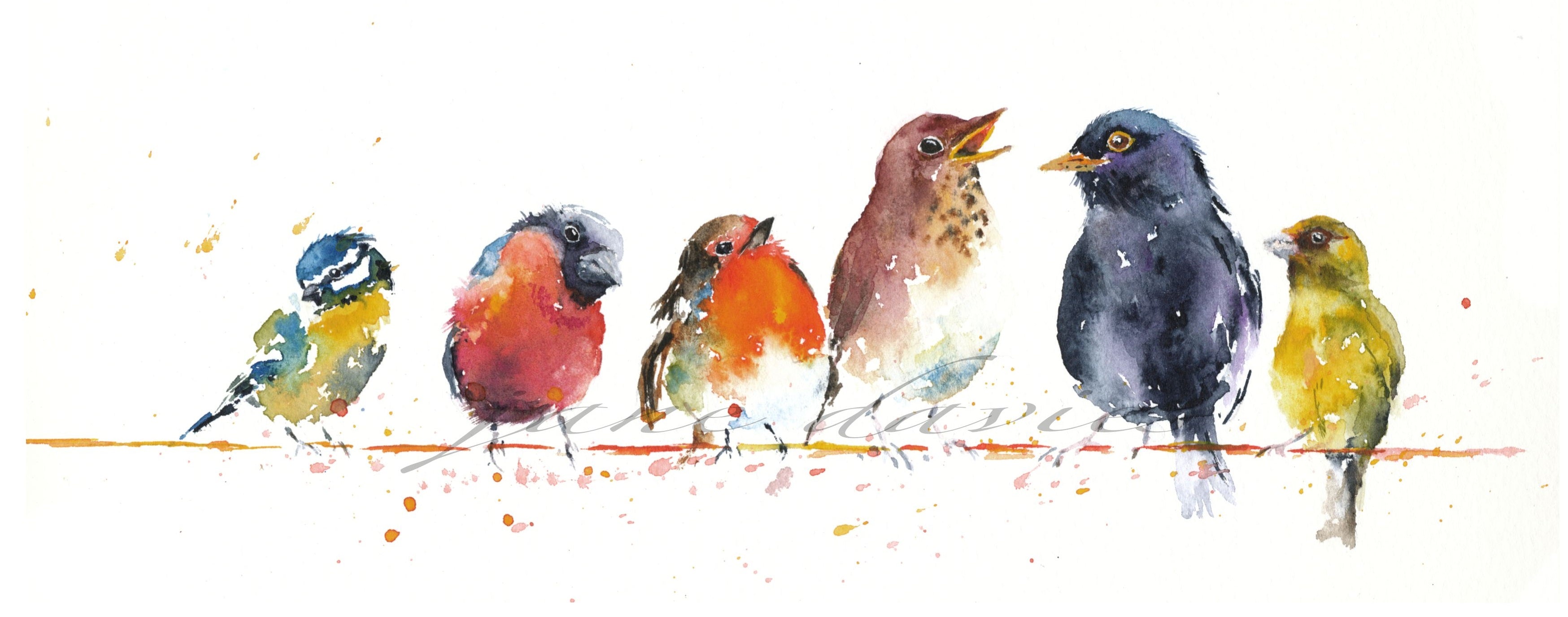 Birds Paint By Numbers – AllPaintbyNumbers