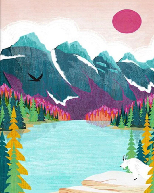 Paint By numbers