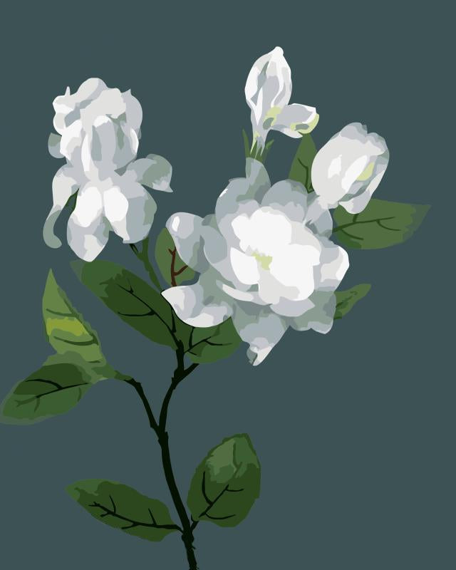 Flowers Paint By Numbers