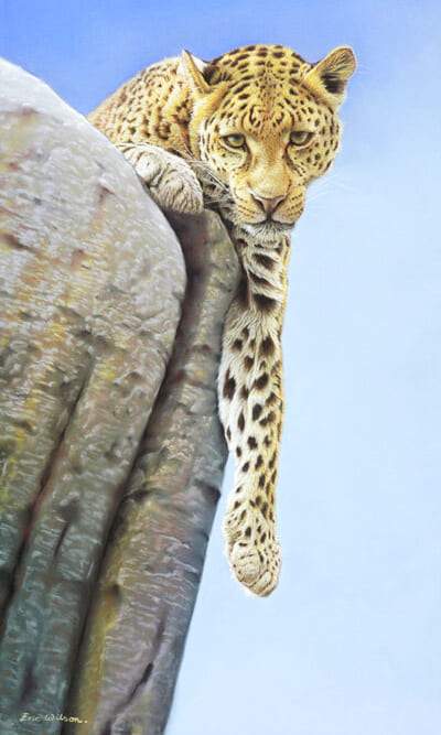 Leopard Paint By Numbers