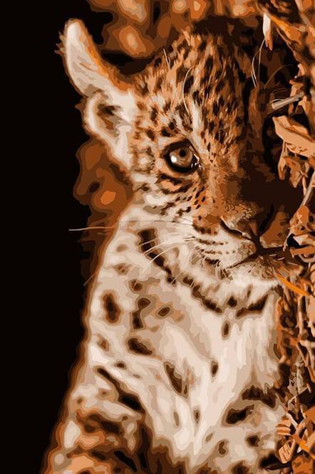 African Leopard Painting Kit - All Paint by numbers