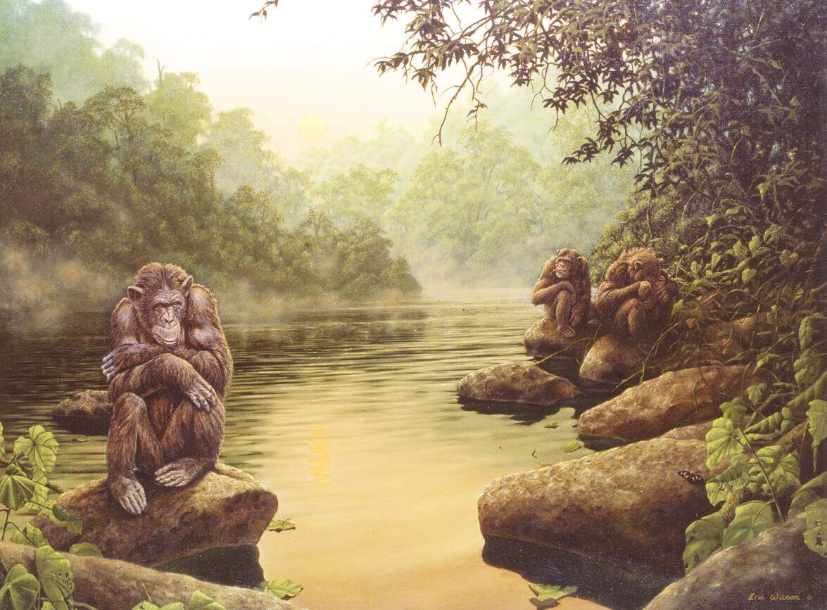 Monkey Paint By Numbers