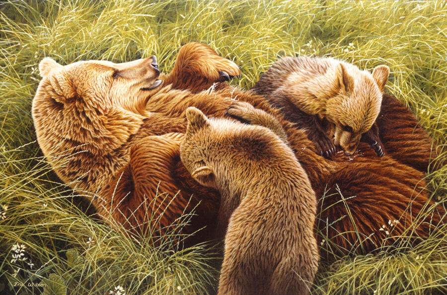 Bears Paint By Numbers
