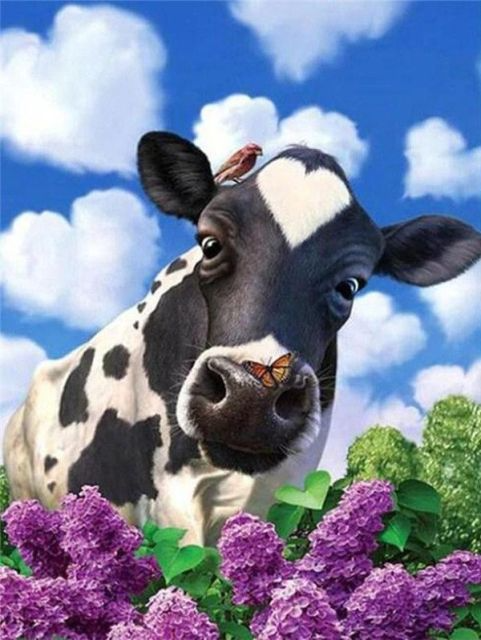 Beautiful Cow - PBN
