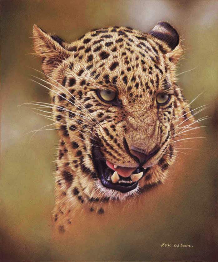 Bhagya - Leopard Paint By Numbers