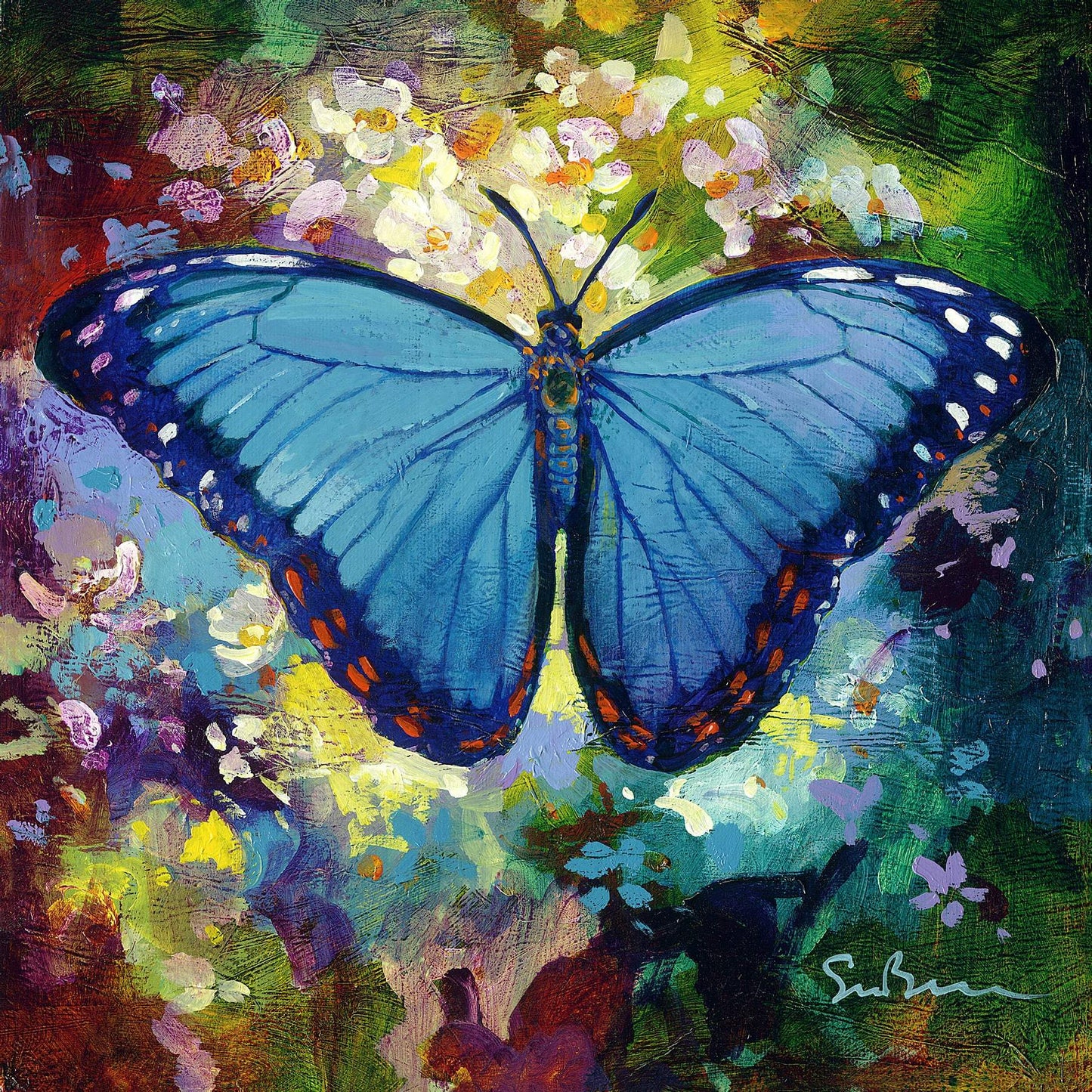 Blue Morpho