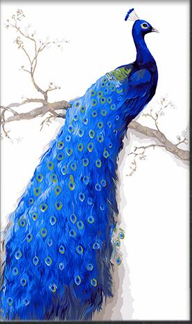 peacock painting with numbers