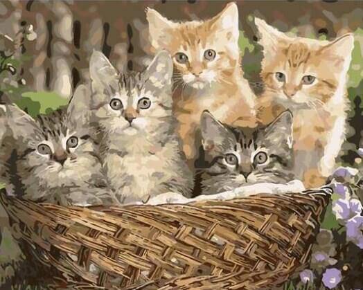Cats Basket DIY Painting Kit - All Paint by Numbers
