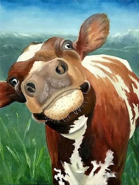 Cattle - PBN