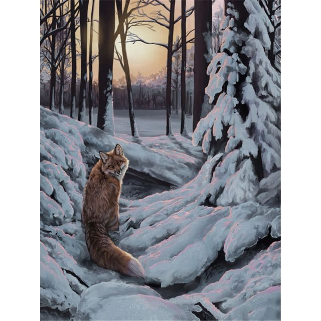 Cold Jungle - Paint By Numbers