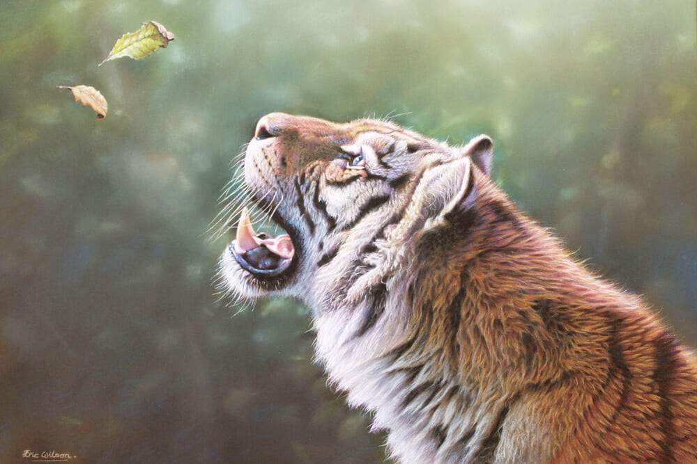 Curiosity - Art by Eric Wilson