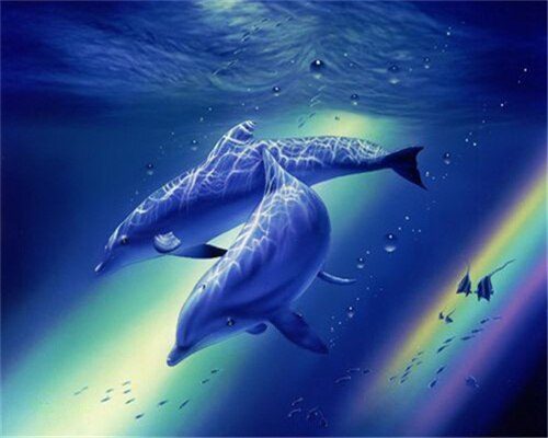 Dolphins World