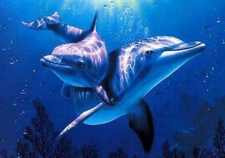 Dolphins Pair Paint by Numbers Kit - All Paint by Numbers