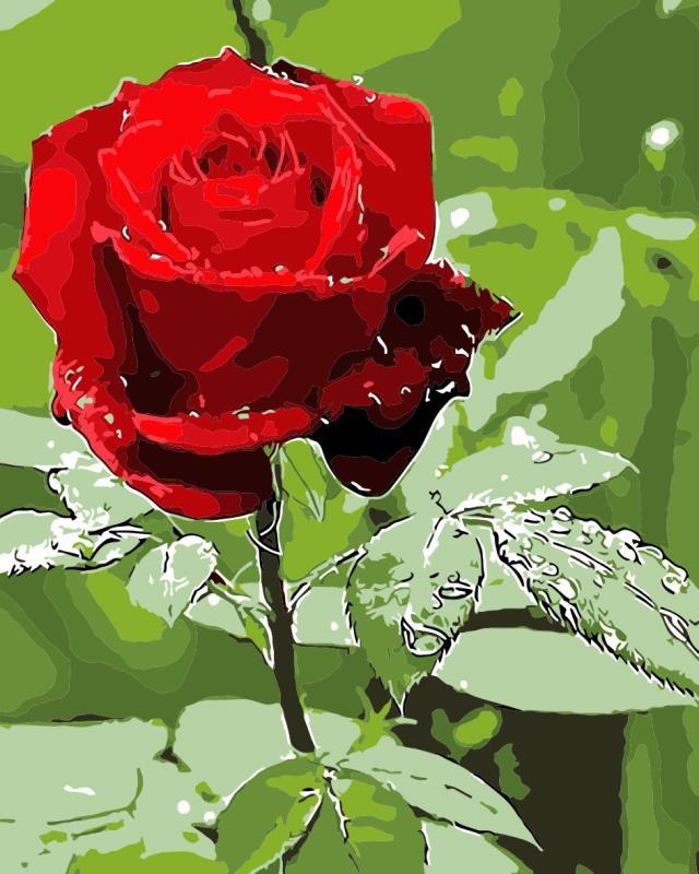 Easy paint by Numbers