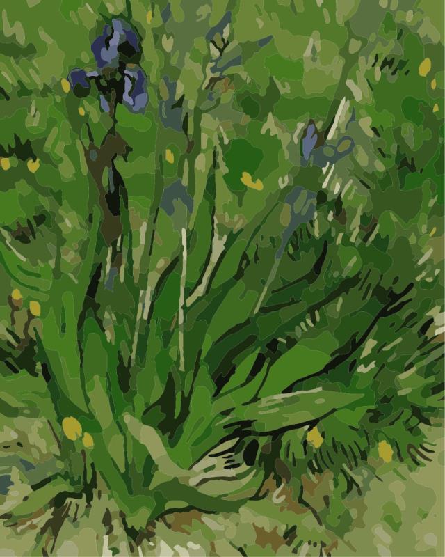 Iris flower creates various shades of blue and purple Colour.