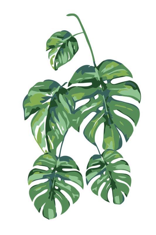 Acrylic Paint By Numbers Kit