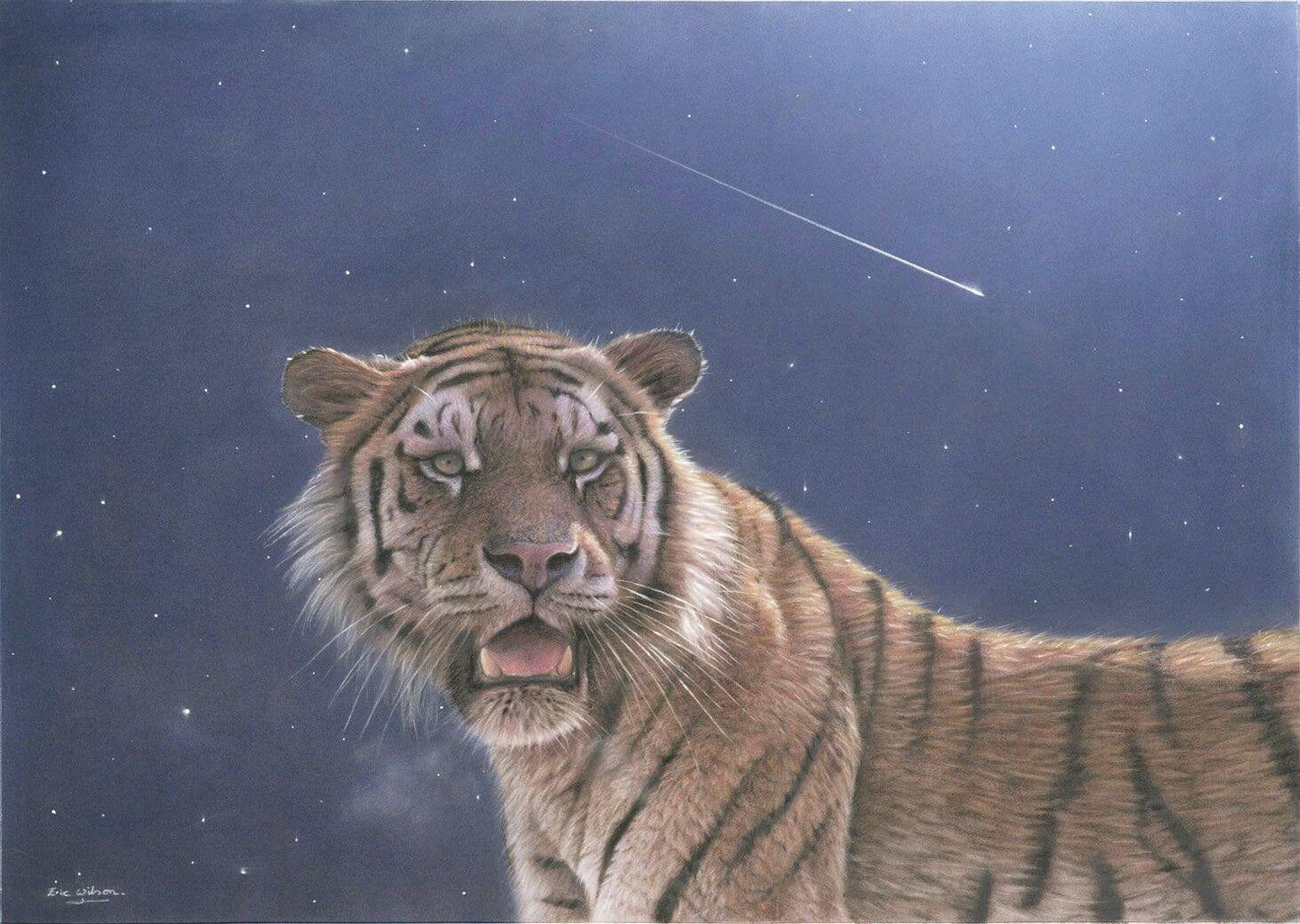 Falling Star - Art by Eric Wilson