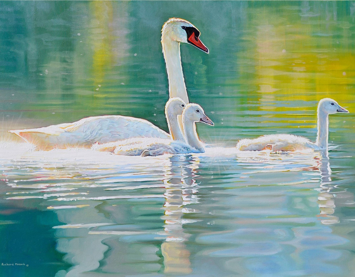 Family Swim