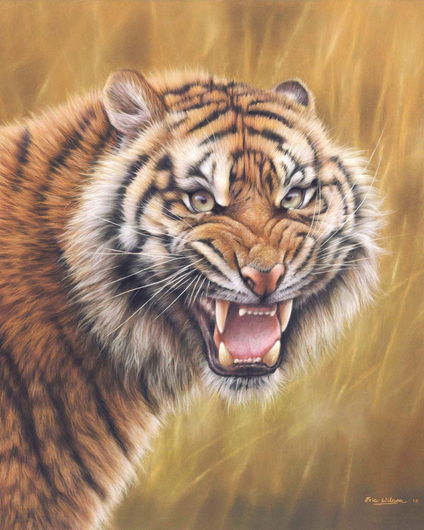Fire of Tiger - Art by Eric Wilson