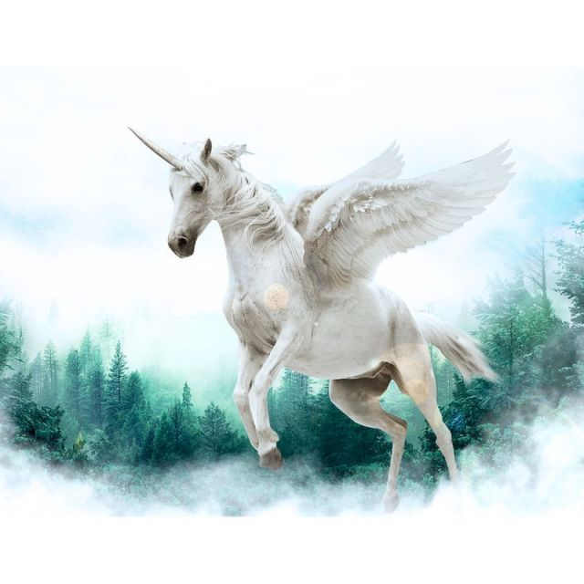 Forest Unicorn - PBN
