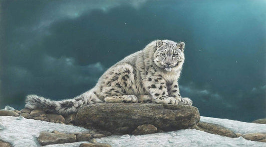 Ghost - Art by Eric Wilson