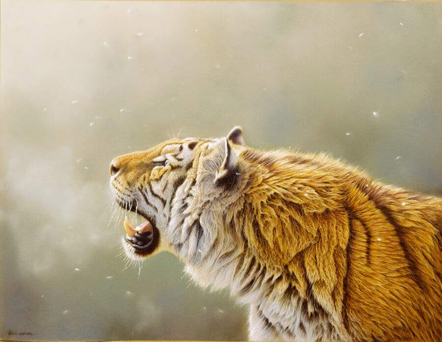 Greeting the first Snow of Winter - Art by Eric Wilson