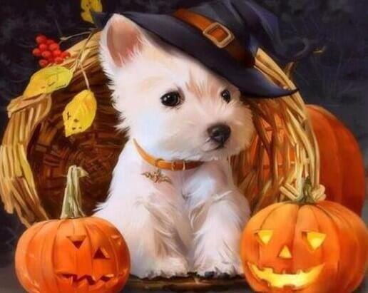 Halloween Puppy Painting Kit