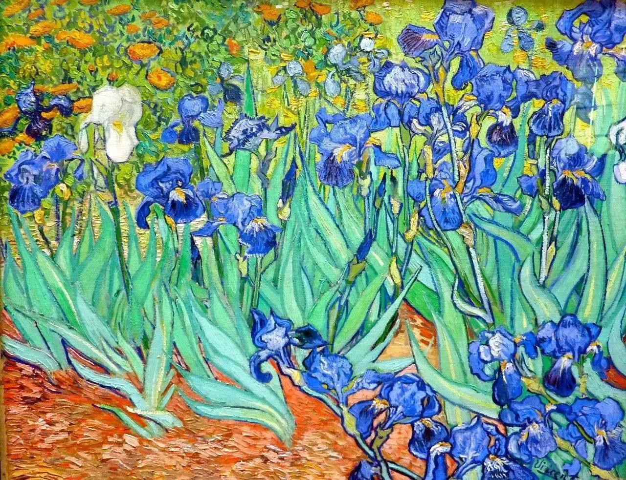 Irises Paint by Numbers