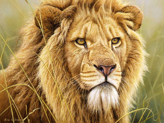 King of Beasts - Art by Eric Wilson