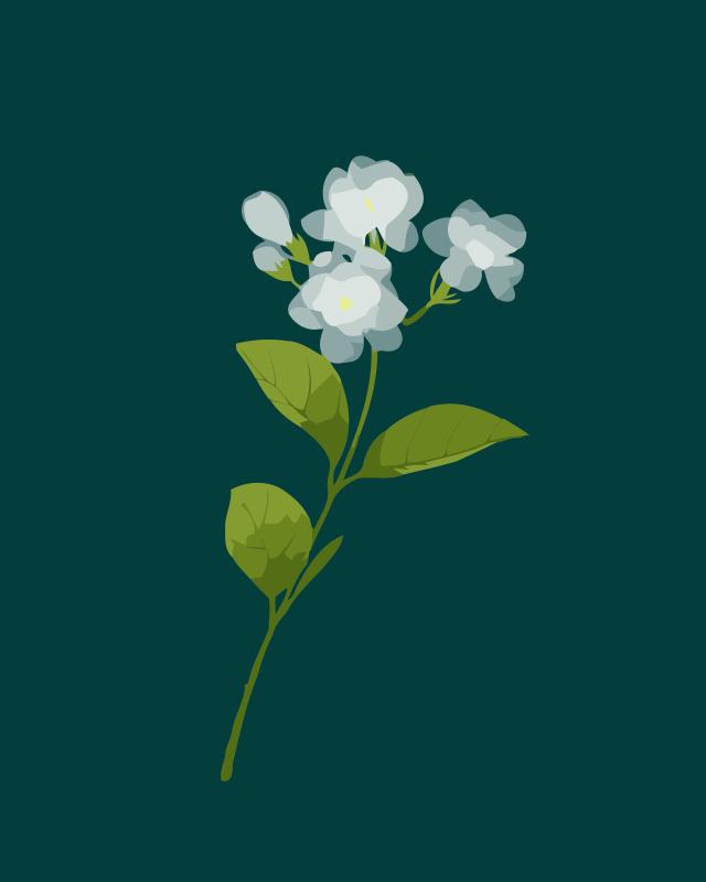 Mock Orange Flower Kit