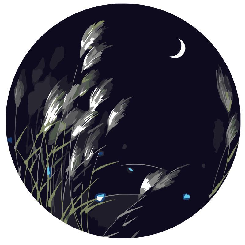 Easy paint by Numbers