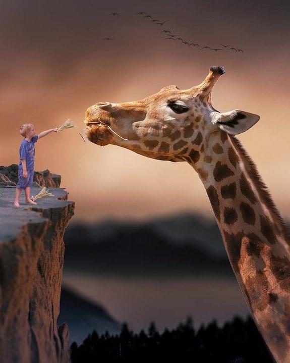 My Giant Friend - Art