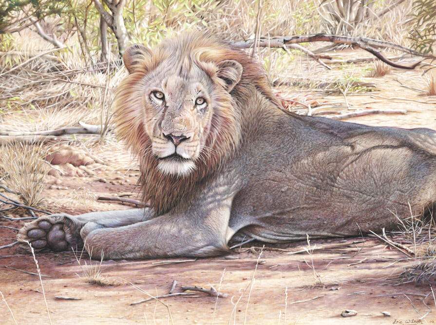 Ngala - Art by Eric Wilson
