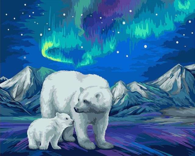 Northern Bears