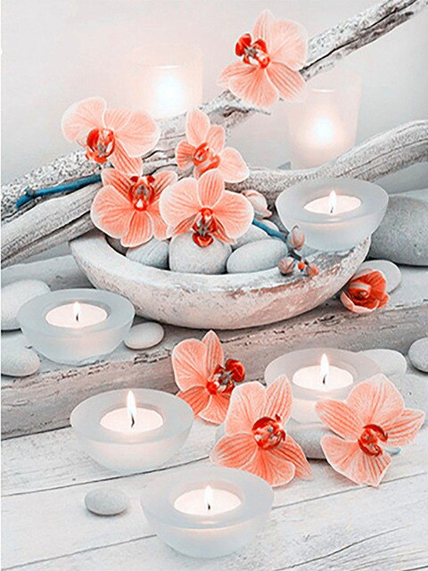 Orchid On Stones- DIY Paint By Number