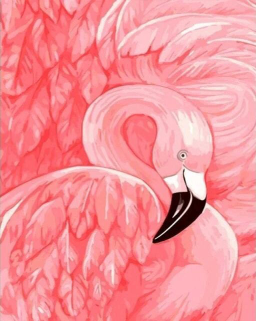 Pink Flamingo- DIY Paint By Number