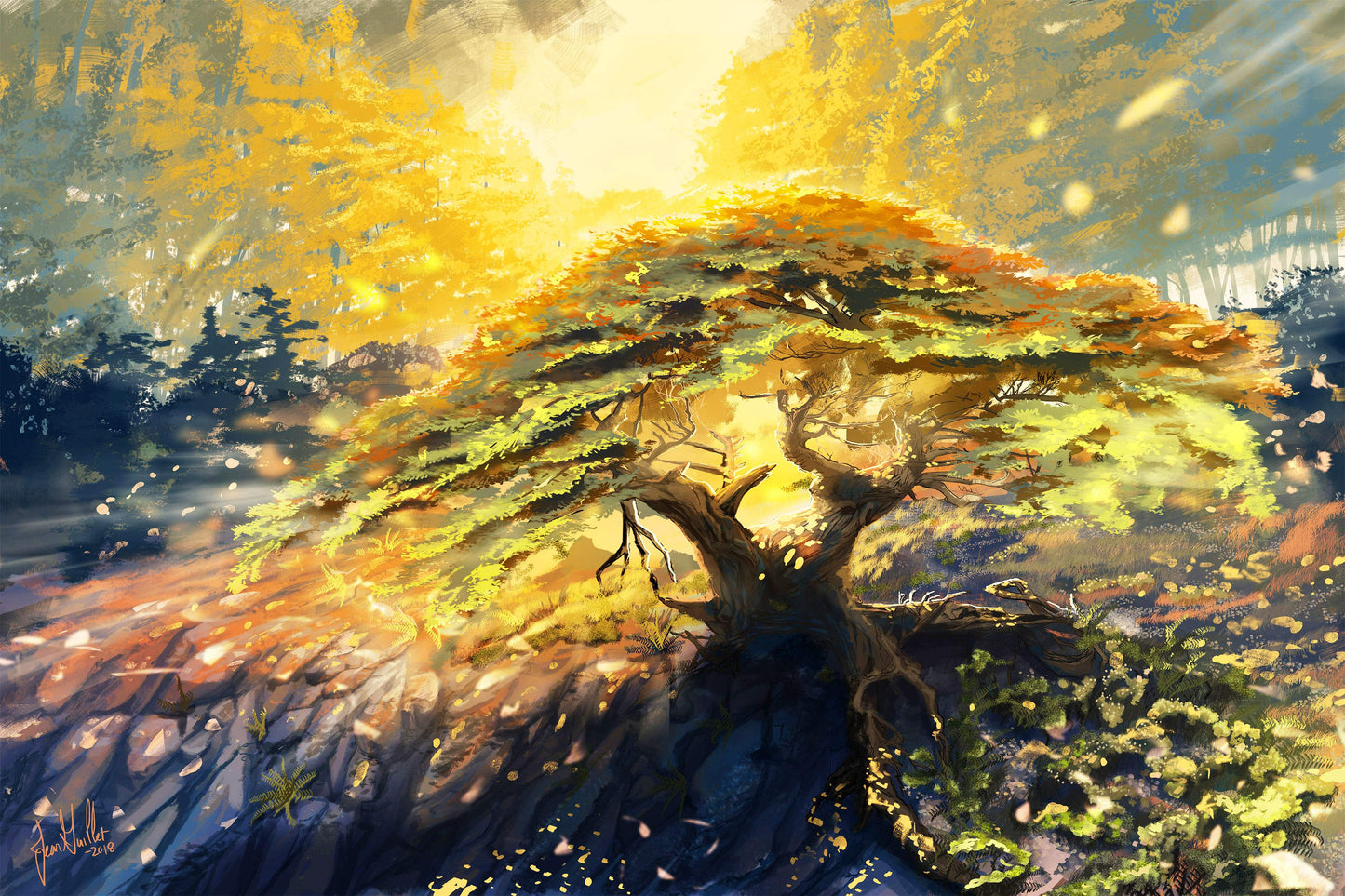 Point Lobos Cypress - Art by Jean Guillet