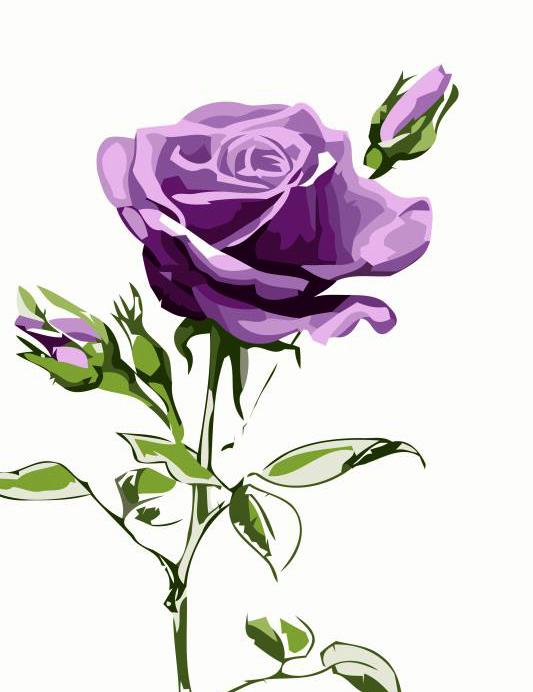 Beautiful Kit of purple flower against a white background.