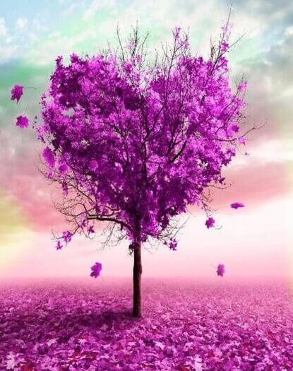 Purple Heart Tree