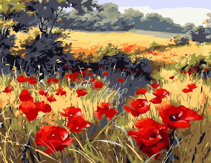 Colourful field