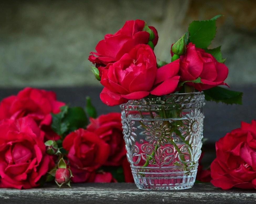 Red Roses in Glass