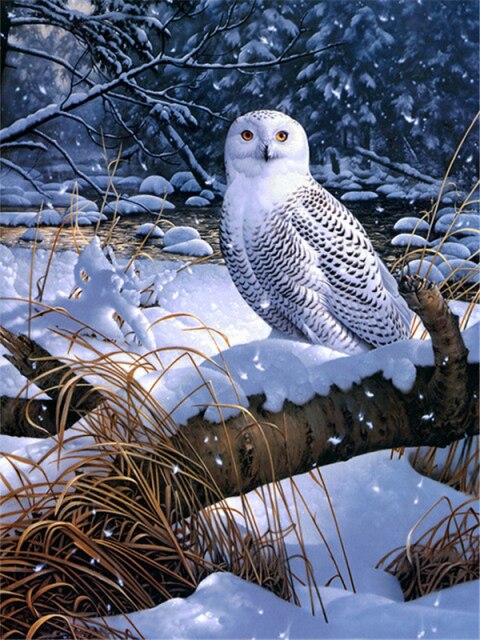 Snowy Owl- Paint By Number – AllPaintbyNumbers