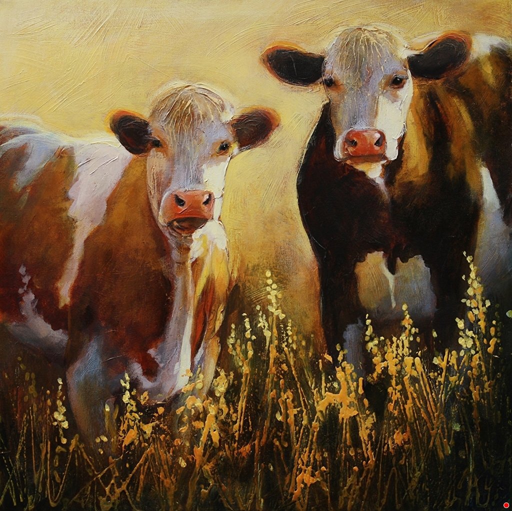 SplenderIn The Grass