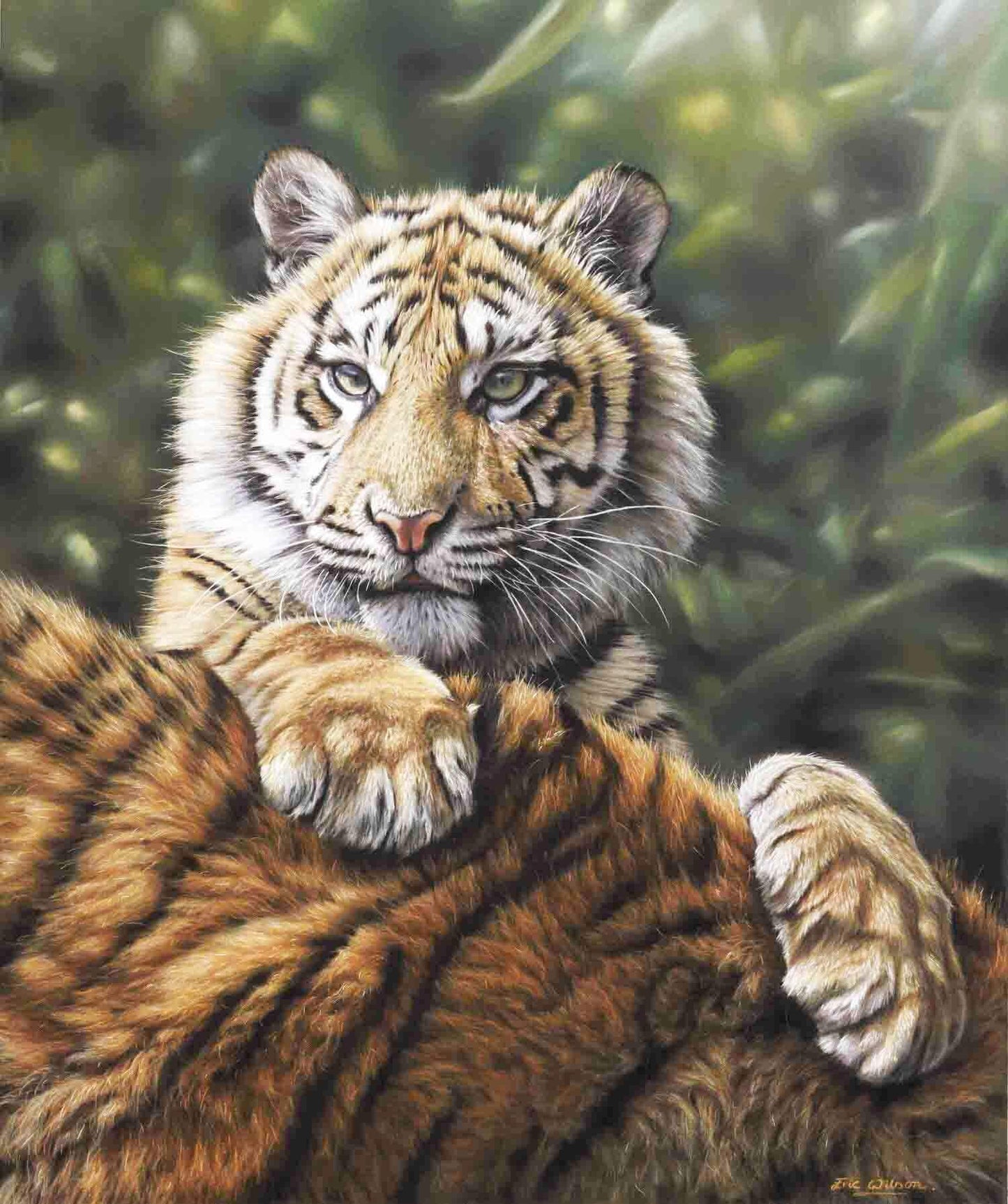 Sumatran Tiger Cub And Mother - Art by Eric Wilson