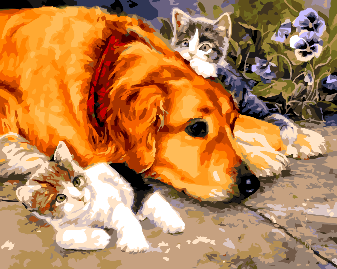 Paint By numbers