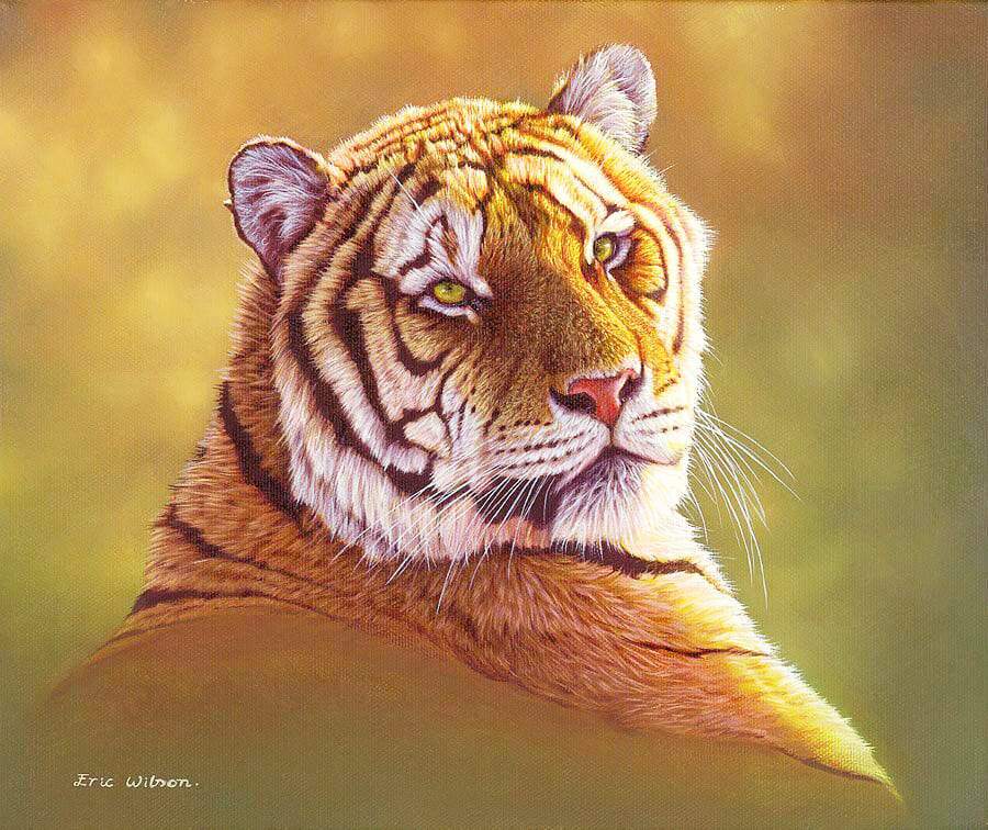 Taiga Tiger Study - Art by Eric Wilson