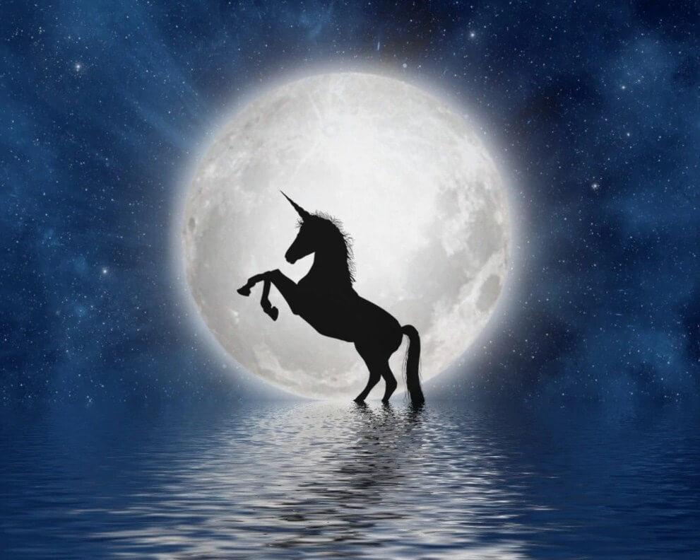 Unicorn & Full Moon DIY Painting
