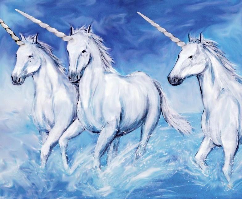 Unicorn Paint by Numbers Kit