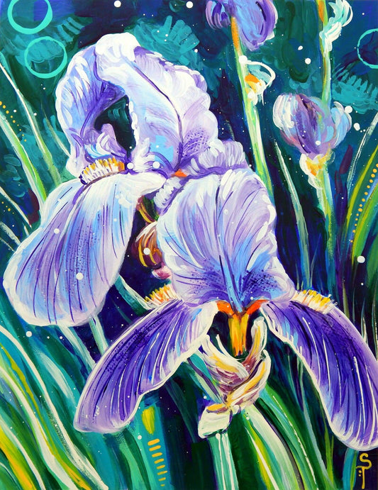 Violet Iris