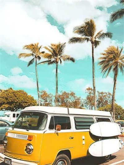 Volksvegan Mini Bus Paint By Numbers